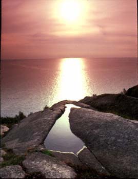 bornholm61