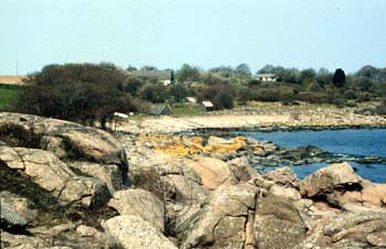 bornholm49