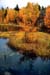 bornholm53
